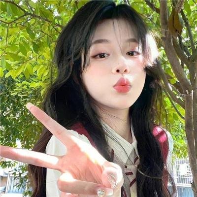 鸽之翼