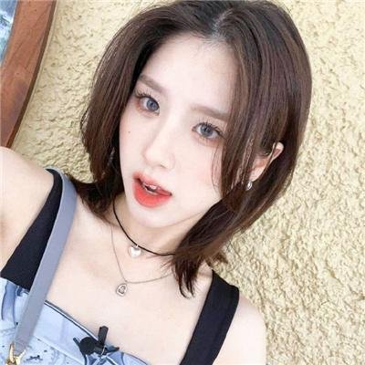 魔法师的猫